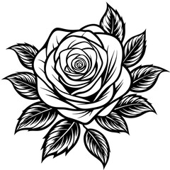 Black and white rose with leaves isolated on white background