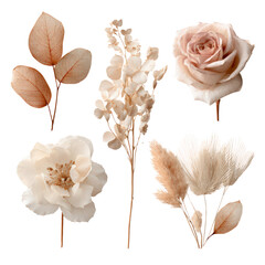 Boho floral clipart set with beige and blush roses, dried palm leaves, and neutral foliage, elegant botanical elements for wedding design or invitations, isolated on transparent background.