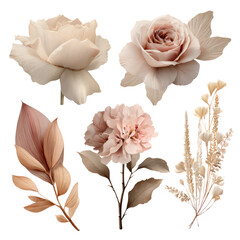 Boho floral clipart set with beige and blush roses, dried palm leaves, and neutral foliage, elegant botanical elements for wedding design or invitations, isolated on transparent background.