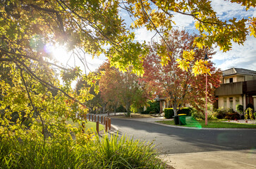 A quiet and leafy suburban street bathed in golden sunlight during autumn, with vibrant foliage,...
