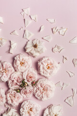 luxurious English roses of pale pink color