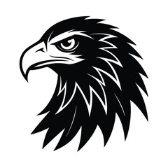 eagle head vector illustration