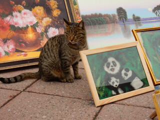 A cat stands in front of paintings in Almaty, Kazakhstan