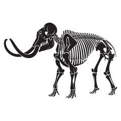An ancient icon of power – Mammoth skeleton silhouette in precise Mammoth skeleton vector – Mammoth skeleton illustration

