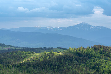 Panoramic view of the Carpathian Mountains with green forest hills under cloudy sky. Concept of...
