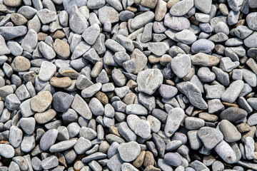 Close-up of natural gray pebbles on beach surface forming textured background. Concept of calm, balance, and natural minimalism