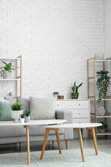 Interior of light living room with grey sofa, coffee table and houseplants