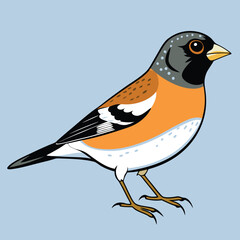 Obraz premium Bird animal vector illustration design nature graphic