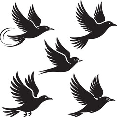 A set of vector birds