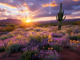 Fototapete Colorful desert landscape with blooming wildflowers and sunset in the background over rocky formations © Vladyslav Bashutskyy