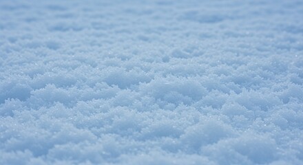 Obraz premium Close-up of a pristine, sunlit expanse of freshly fallen snow, exhibiting a textured surface with delicate crystalline formations.