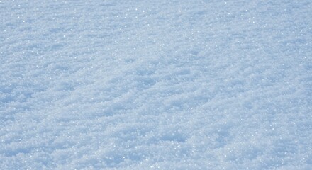 Sparkling Winter Wonderland: A Close-Up of Pristine Snow