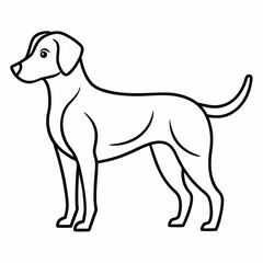 beagle dog vector illustration