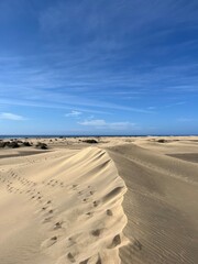 sand dunes on the beach