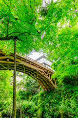 初夏のこおろぎ橋　石川県加賀市　Koorogi Bridge in early summer. Ishikawa Pref, Kaga...