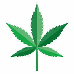 cannabis leaf on white background