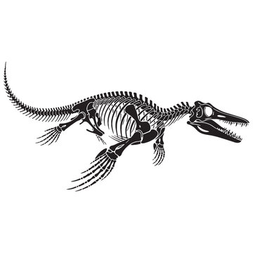 Prehistoric seas remembered &ndash; Mosasaur skeleton silhouette and detailed Mosasaur skeleton vector &ndash; Mosasaur skeleton illustration


