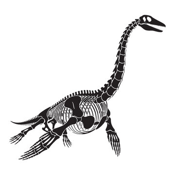 Lines from the ancient ocean &ndash; Plesiosaurus skeleton silhouette and clean Plesiosaurus skeleton vector &ndash; Plesiosaurus skeleton illustration

