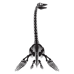 A visual trace of marine reptiles – Plesiosaurus skeleton silhouette in precise Plesiosaurus skeleton vector – Plesiosaurus skeleton illustration


