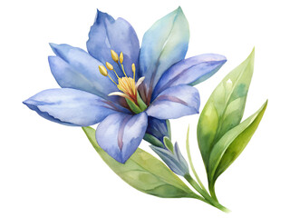 Fototapeta premium Watercolor Blue Flower with Green Leaves on Transparent Background