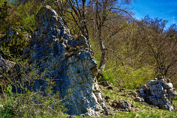 a beautiful day in the ancient town of Dollnstein