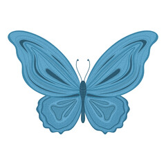 Butterfly illustration featuring vivid shades of blue with intricate wing patterns.