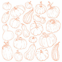 Pumpkin outline clipart collection, line art farm harvest pumpkin set, orange contour 