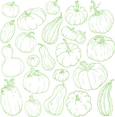 Pumpkin outline clipart collection, line art farm harvest pumpkin set, green contour 