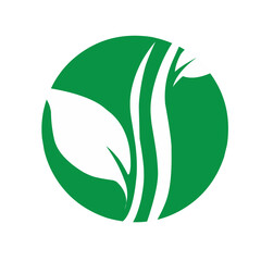Leaf symbol vector icon illustration