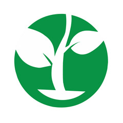 Leaf symbol vector icon illustration