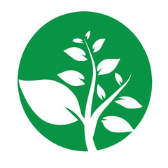 Leaf symbol vector icon illustration