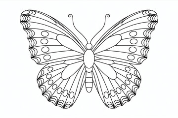 Ornate butterfly design, detailed wings, black lines on white.
