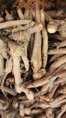 Close up pile of tasty fresh finger root sold at the market as a background.