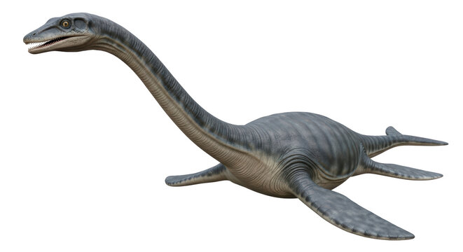 Isolated Plesiosaur