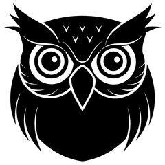 owl on white background