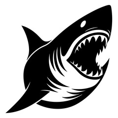 shark vector illustration