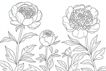 Delicate peonies in black and white line art.
