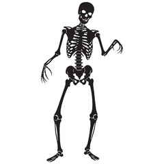 Precision meets proportion – Human skeleton silhouette and symmetrical Human skeleton vector – Human skeleton illustration

