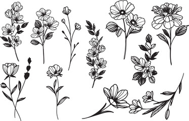  Floral Botanical Sketch, Hand Drawn Wildflowers, Garden Bloom Set, Natural Plant Line Art Vector