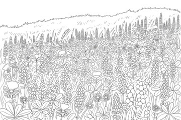 A field of wildflowers stretches to a hill.
