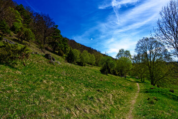 a beautiful day in the ancient town of Dollnstein