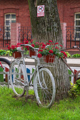 An old white bicycle decorated with flowers.
