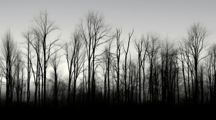 dusk black and white tree
