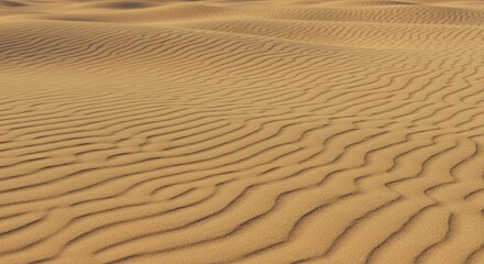 Undulating Desert Sands: A Textured Tapestry of Golden Hues