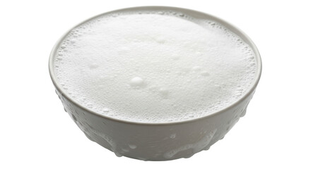 Isolated Bowl of White Foam