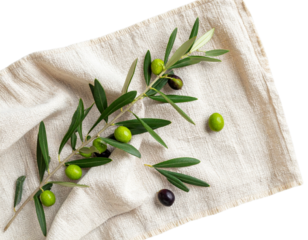 Top View of Olive Branch on Rustic Linen Surface with Scattered Olives, Transparent Background