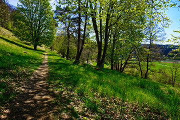 a beautiful day in the ancient town of Dollnstein