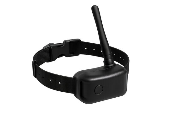 Gps tracking dog collar with antenna on transparent background