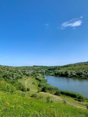 Summer river landscape with green hills, blooming trees and blue sky. Serene countryside view with wild nature and calm water in the foreground.