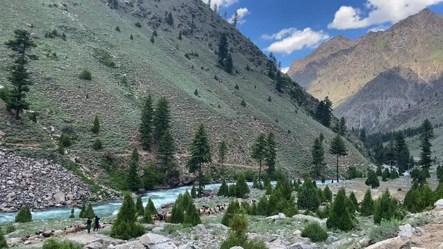 Lulusar Lake in Kaghan Valley, Pakistan, surrounded by lush green hills and a moody, cloud-filled sky. A stunning vertical view, perfect for travel visuals, nature reels, and cinematic landscape use.
